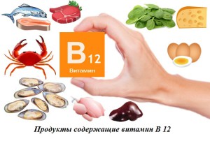 Продукты содержащие витамин В 12